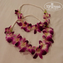 фото из отзыва ID 835048