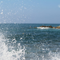 фото из отзыва ID 835135