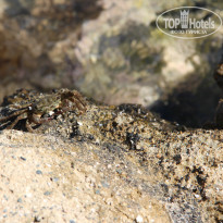 фото из отзыва ID 835135