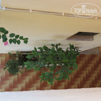 фото из отзыва ID 835161