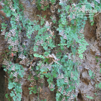 фото из отзыва ID 835161