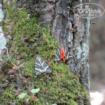 фото из отзыва ID 835161