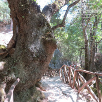 фото из отзыва ID 835161