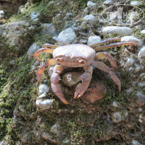 фото из отзыва ID 835161