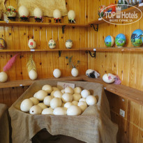 фото из отзыва ID 835161