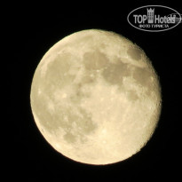 фото из отзыва ID 835161