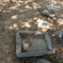 фото из отзыва ID 835161