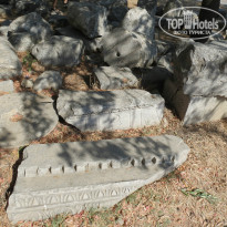 фото из отзыва ID 835161