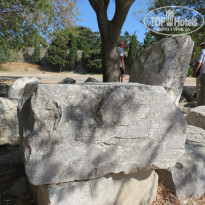 фото из отзыва ID 835161