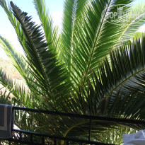 фото из отзыва ID 835165