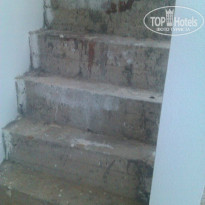 фото из отзыва ID 835170