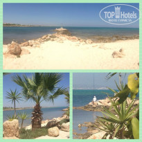 фото из отзыва ID 835210