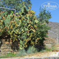 фото из отзыва ID 835300