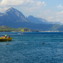 фото из отзыва ID 835411