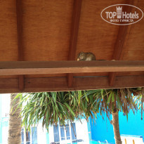 фото из отзыва ID 835429