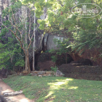 фото из отзыва ID 835429