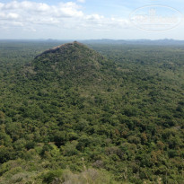 фото из отзыва ID 835429