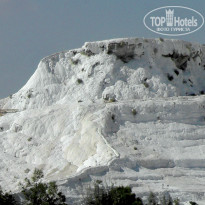 фото из отзыва ID 835444