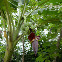 фото из отзыва ID 835474