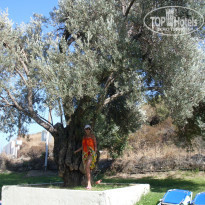 фото из отзыва ID 835733