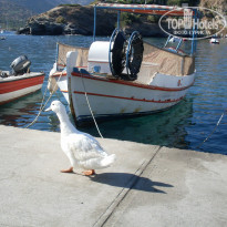 фото из отзыва ID 835733