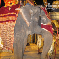 фото из отзыва ID 835823