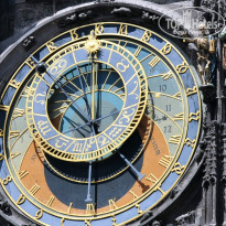 фото из отзыва ID 835896