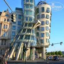 фото из отзыва ID 835896