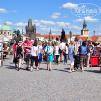 фото из отзыва ID 835896