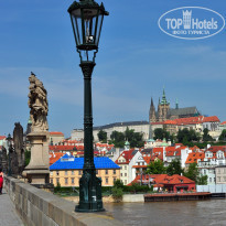 фото из отзыва ID 835896