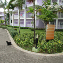 фото из отзыва ID 835986