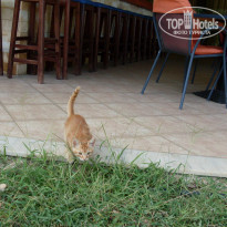 фото из отзыва ID 835733