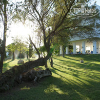 фото из отзыва ID 836107