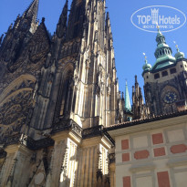 фото из отзыва ID 836233