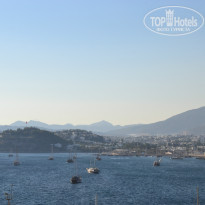 фото из отзыва ID 836270