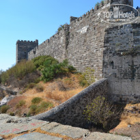 фото из отзыва ID 836270