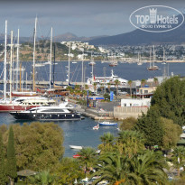 фото из отзыва ID 836270