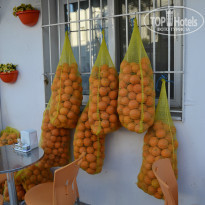 фото из отзыва ID 836270