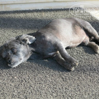 фото из отзыва ID 836384