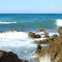 фото из отзыва ID 836384