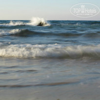 фото из отзыва ID 836384