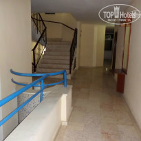 фото из отзыва ID 836541