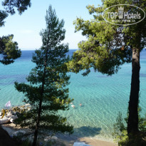 фото из отзыва ID 836755