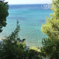 фото из отзыва ID 836755