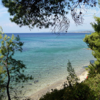 фото из отзыва ID 836755