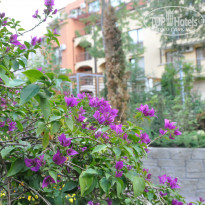 фото из отзыва ID 836767