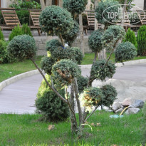 фото из отзыва ID 836767