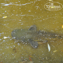 фото из отзыва ID 836767