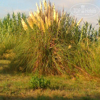 фото из отзыва ID 836966