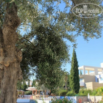 фото из отзыва ID 836786